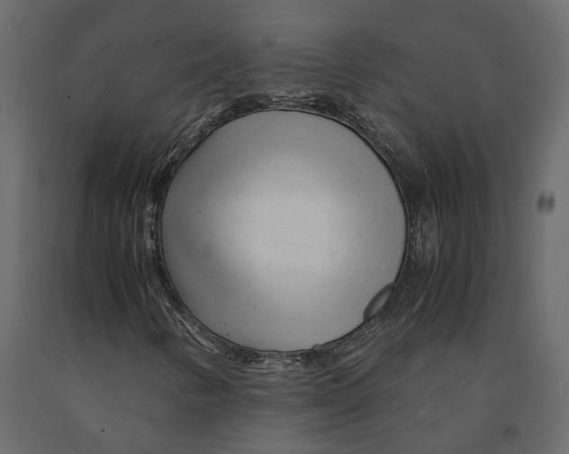 X0000090921346200708271016