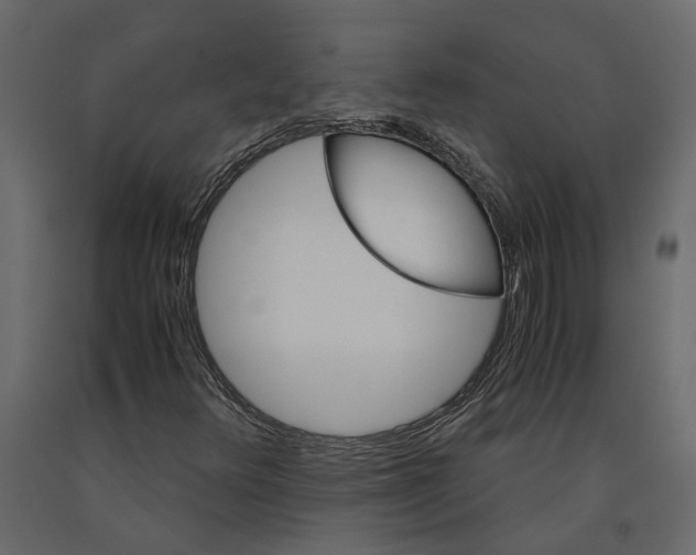 X0000090921348200708271016