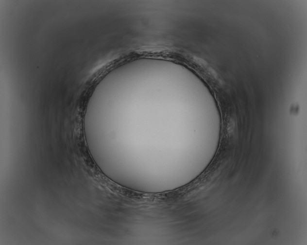 X0000090921350200708271016