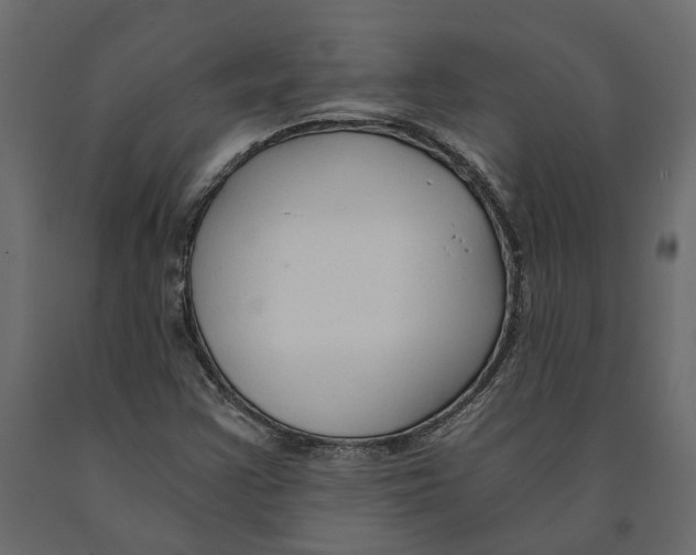 X0000090921355200708271016