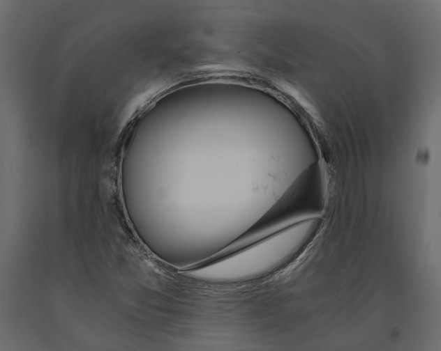 X0000090921357200708271016