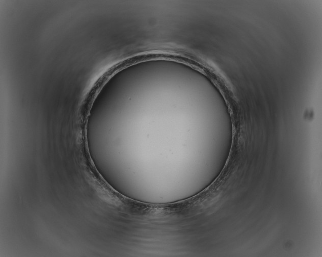 X0000090921360200708271016