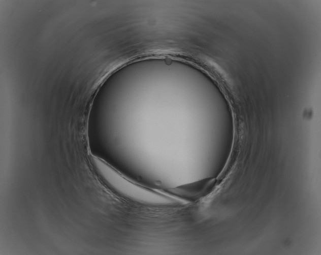 X0000090921361200708271016