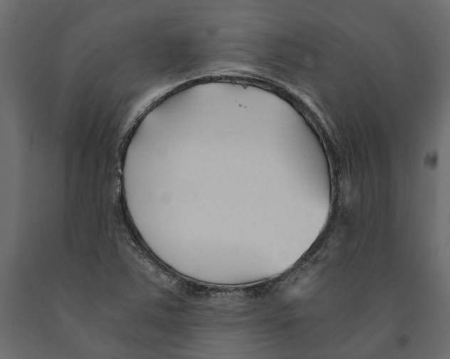 X0000090921363200708271016