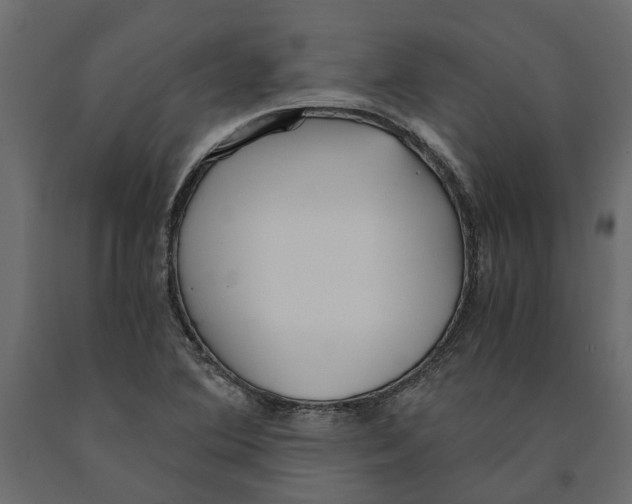 X0000090921364200708271016