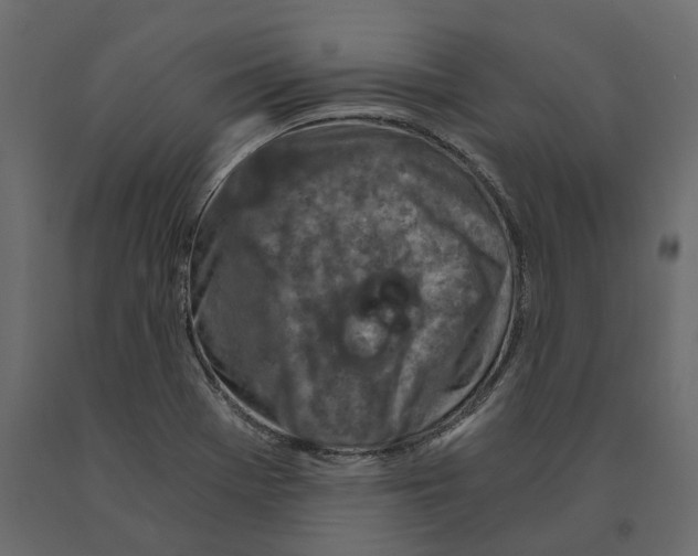 X0000090921369200708271016