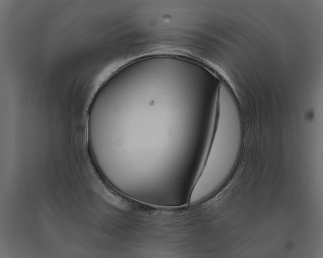 X0000090921371200708271016