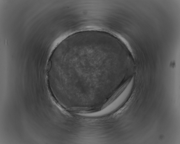 X0000090921373200708271016