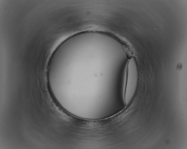 X0000090921375200708271016