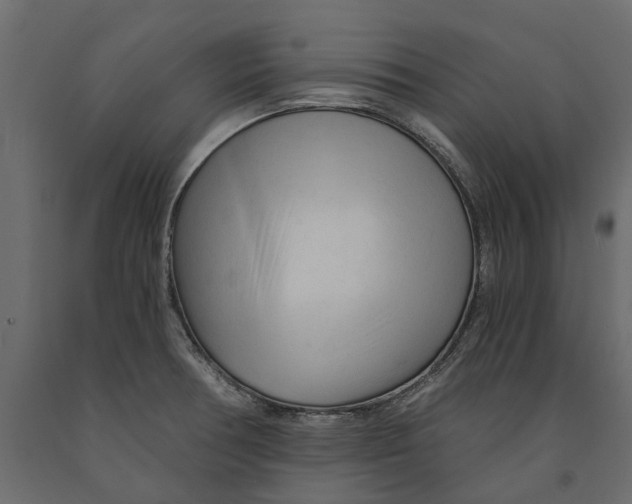 X0000090921378200708271016