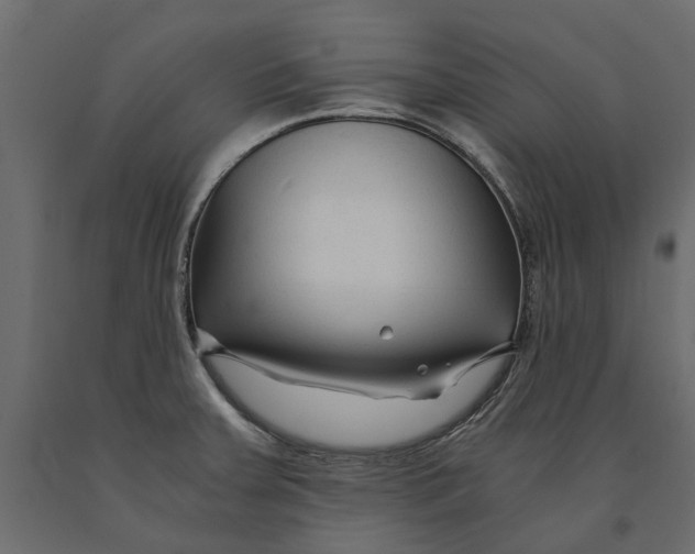 X0000090921379200708271016