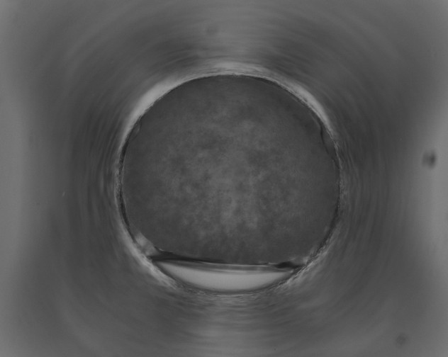 X0000090921381200708271016