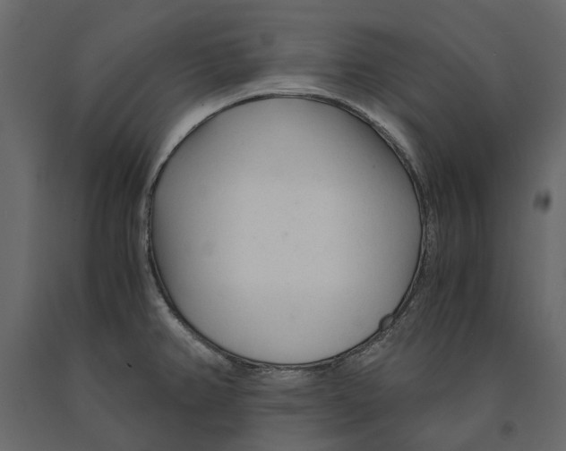 X0000090921382200708271016