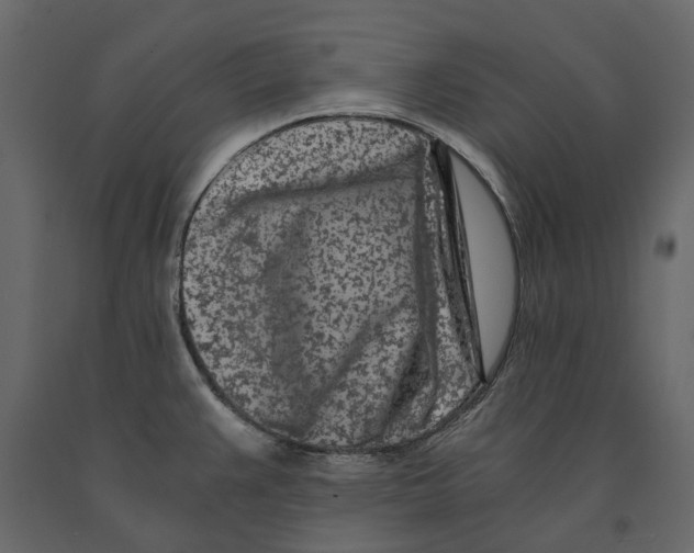 X0000090921383200708271016