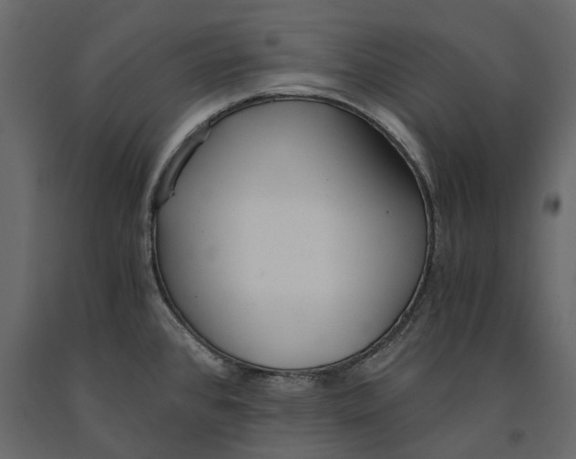 X0000090921384200708271016