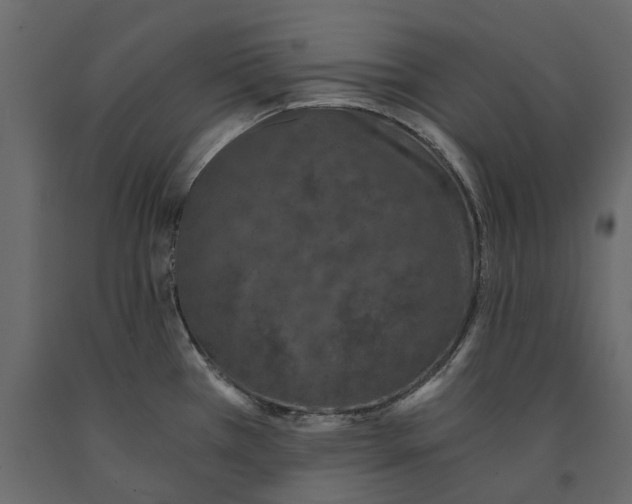 X0000090921385200708271016