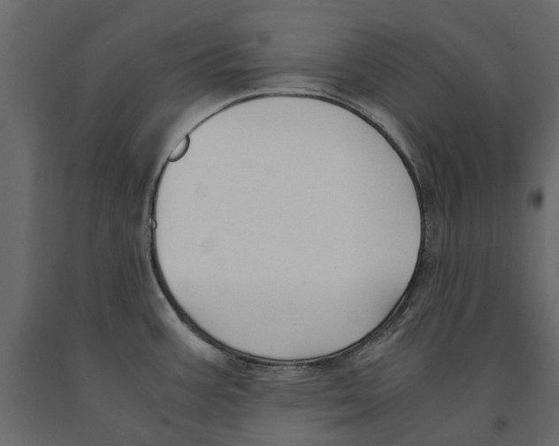 X0000090921387200708271016