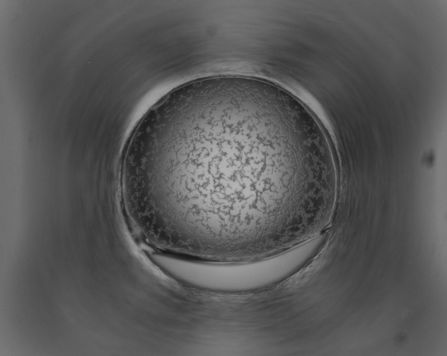 X0000090921389200708271016