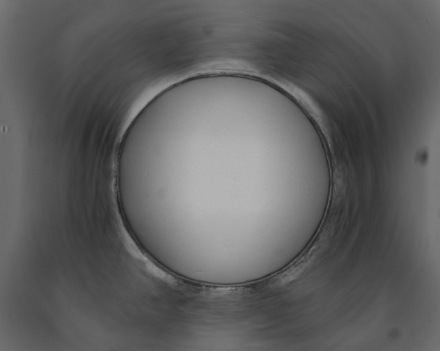 X0000090921390200708271016