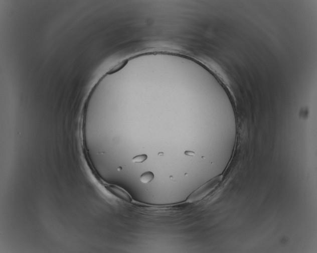 X0000090921391200708271016