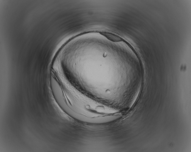 X0000090921392200708271016