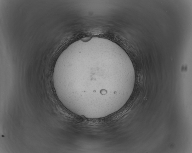 X0000090921393200708271015