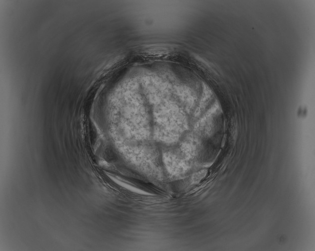 X0000090921394200708271015