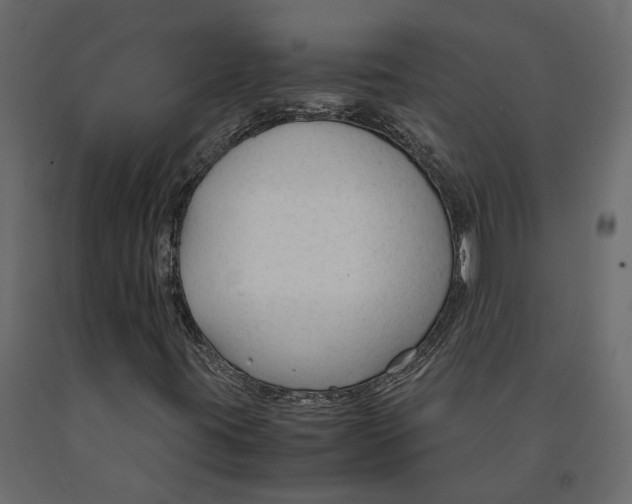 X0000090921395200708271015