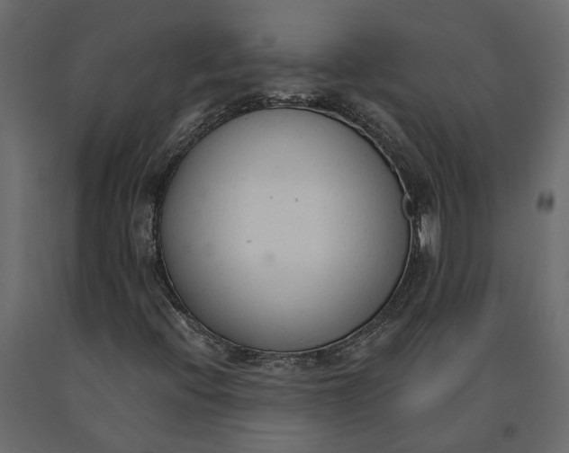 X0000090921396200708271015