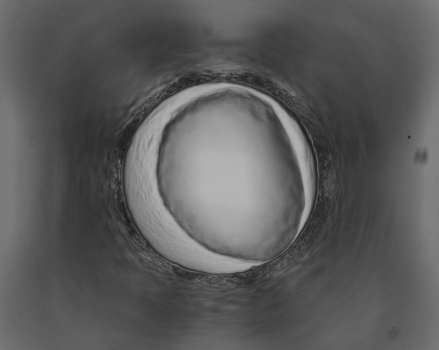 X0000090921397200708271015