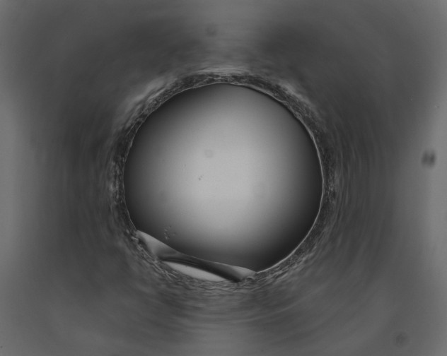 X0000090921398200708271015