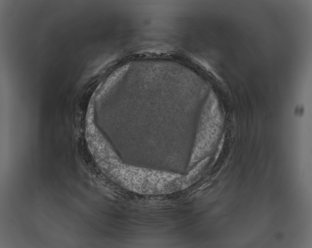 X0000090921399200708271015