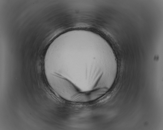 X0000090921401200708271015