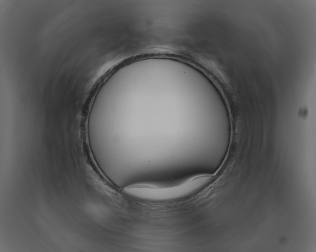 X0000090921404200708271015