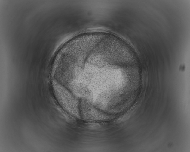 X0000090921405200708271015