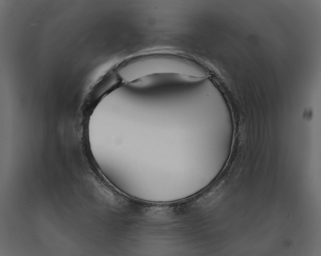 X0000090921406200708271015