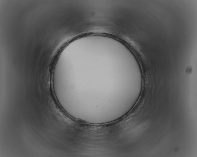 X0000090921408200708271015