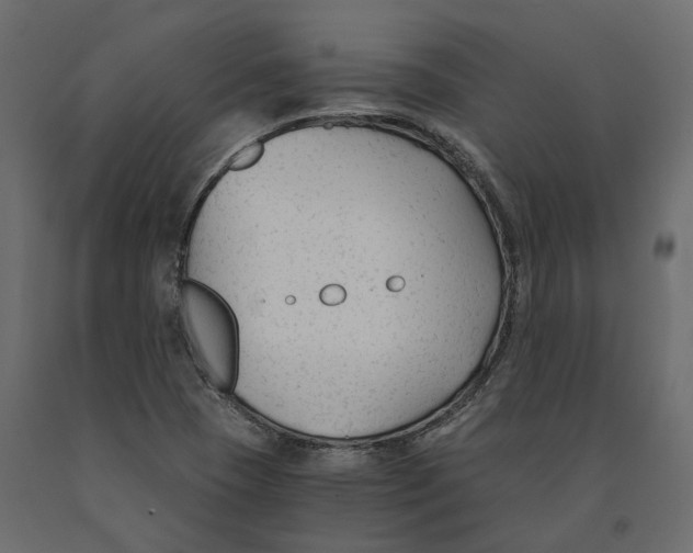 X0000090921409200708271015