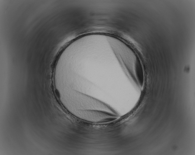 X0000090921411200708271015