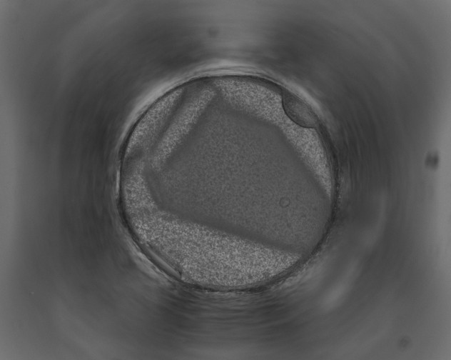 X0000090921413200708271015