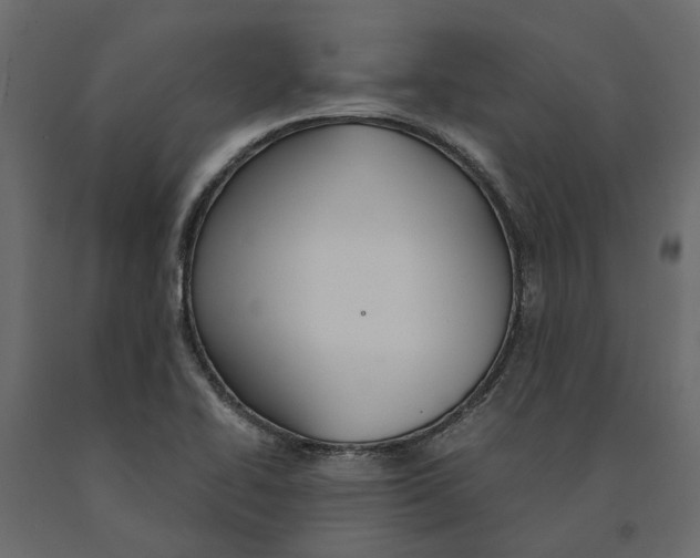 X0000090921414200708271015