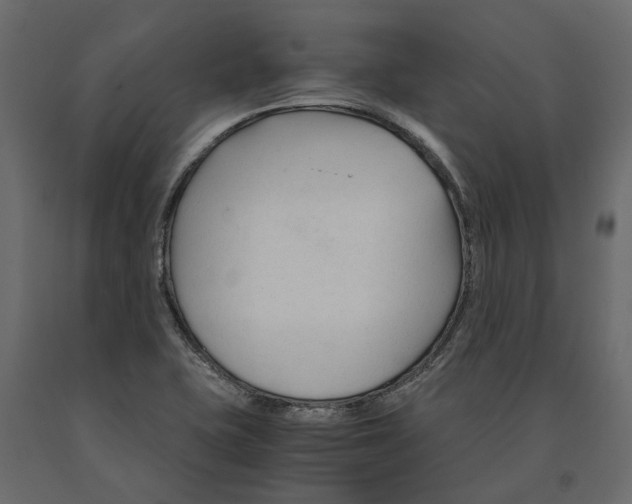 X0000090921415200708271015