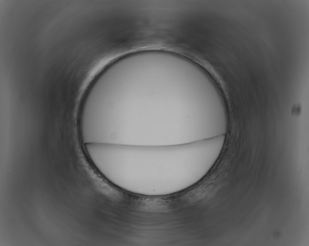 X0000090921416200708271015