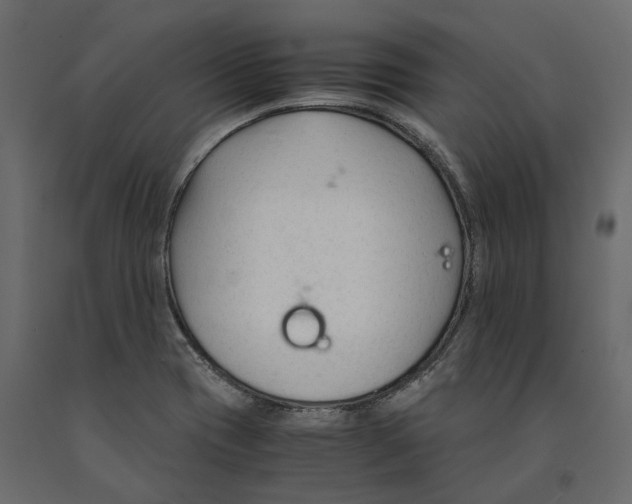 X0000090921417200708271015