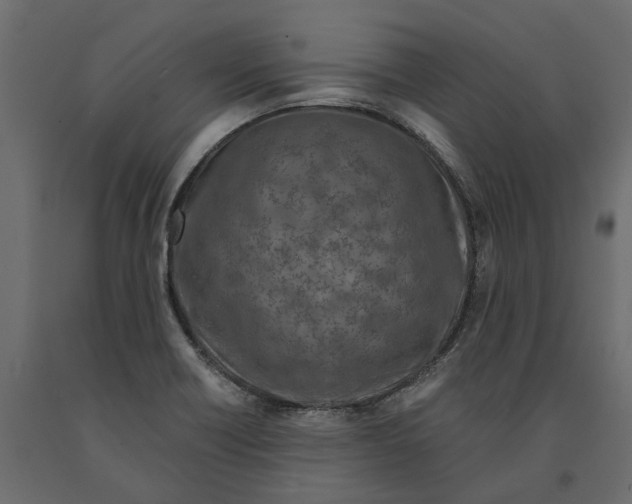 X0000090921418200708271015