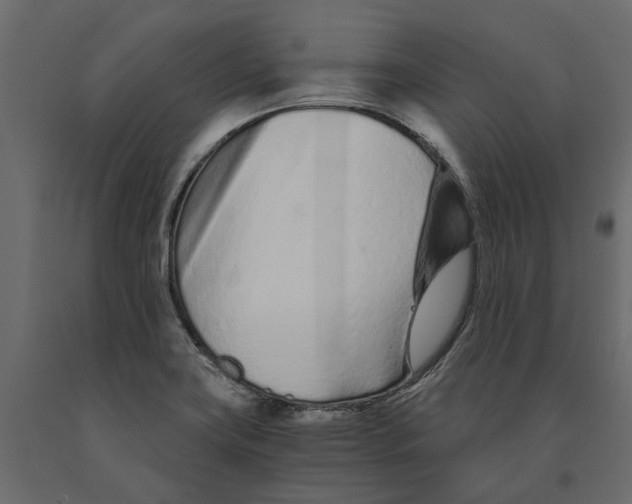 X0000090921419200708271015