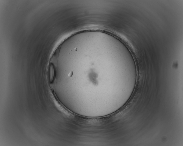 X0000090921421200708271015