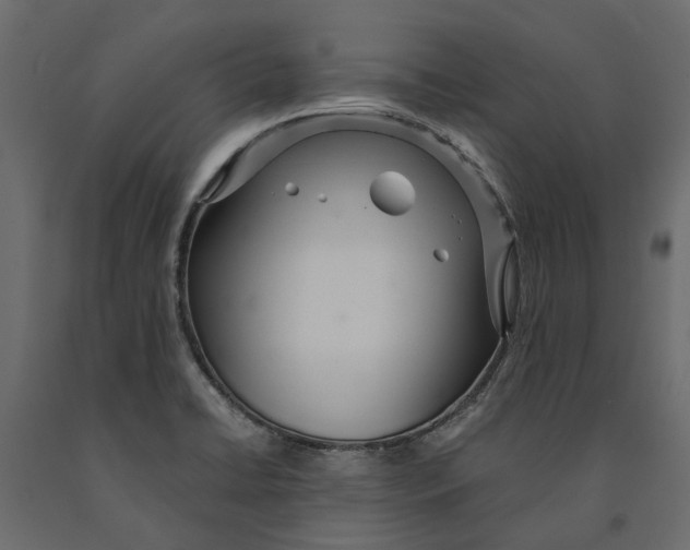 X0000090921422200708271015