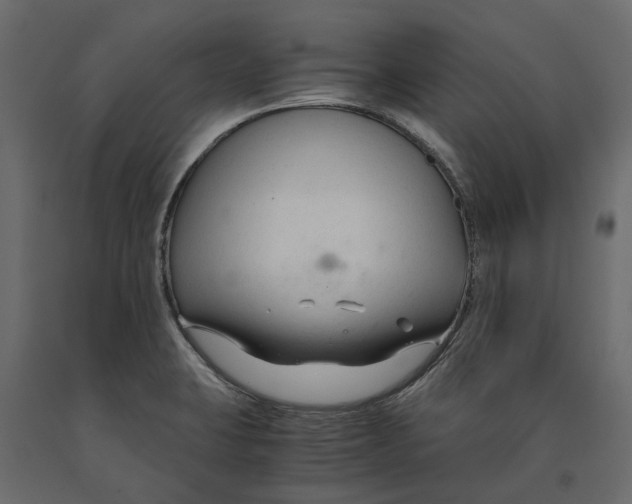 X0000090921423200708271015