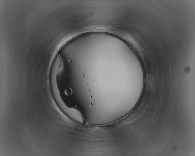 X0000090921424200708271016